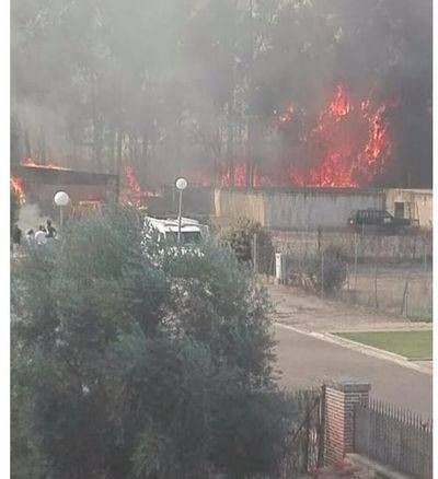 Declarado un incendio en la urbanización 'Prado del Arca'