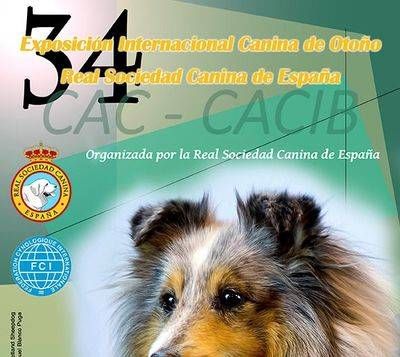 La Exposición Internacional Canina reunirá a más de 4.000 perros en Talavera