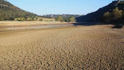 La Conferencia Hidrográfica del Tajo solicitará al Gobierno el Real Decreto de Sequía