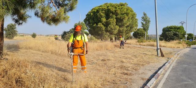 Más de 90.000 m²: Importante actuación de desbroce en Torrehierro