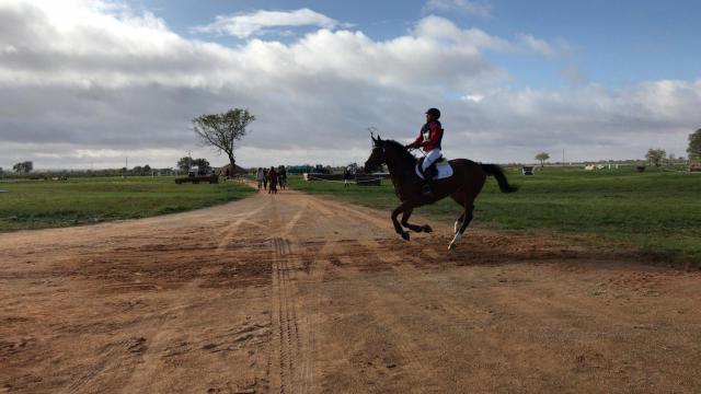 Intenso fin de semana en Tomelloso para elegir a los Campeones de España de Equitación