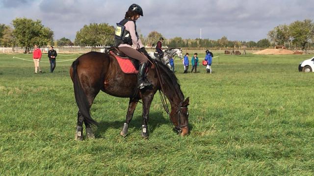 Intenso fin de semana en Tomelloso para elegir a los Campeones de España de Equitación