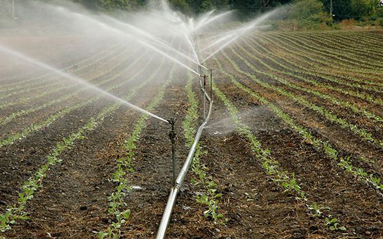 CLM exige en el documento en defensa del agua no destinar 'una sola gota' a regadío en Levante