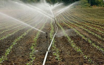 CLM exige en el documento en defensa del agua no destinar "una sola gota" a regadío en Levante