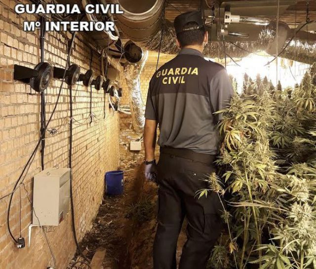 La Guardia Civil desmantela dos plantaciones de marihuana e incauta 2.000 plantas