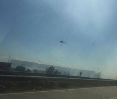 Extinguido el incendio forestal declarado junto a Schreiber Foods en Talavera