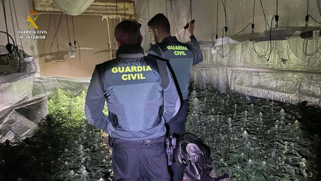 La Guardia Civil descubre un sofisticado laboratorio de marihuana en plena urbanización