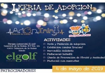 Talavera celebra la 'I Feria de Adopción Animal'