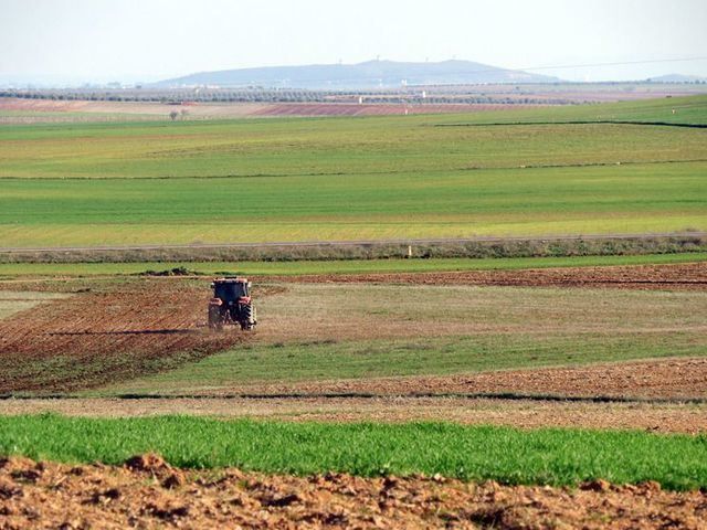 La cosecha de cereal en Castilla-La Mancha no alcanzará los 3 millones de toneladas