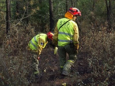 Controlado el incendio declarado en el entorno del Parque Nacional de Cabañeros