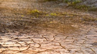 Los agricultores de Castilla-La Mancha piden agua para salvar sus cultivos