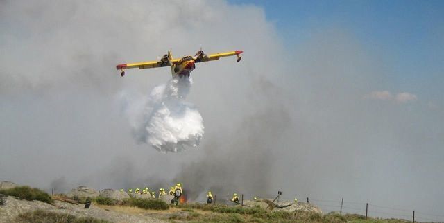 Incendio forestal / Archivo