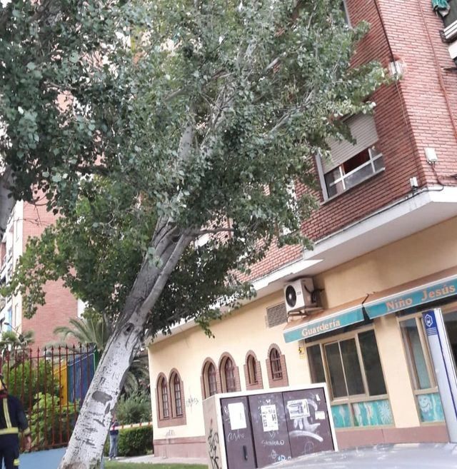 Susto tremendo en Talavera por la caída de un árbol sobre un edificio