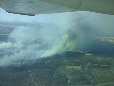 Estabilizado el incendio en Barchín del Hoyo