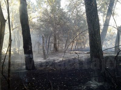 Los trabajos de control del incendio de la isla del Tajo no cesaron hasta la madrugada