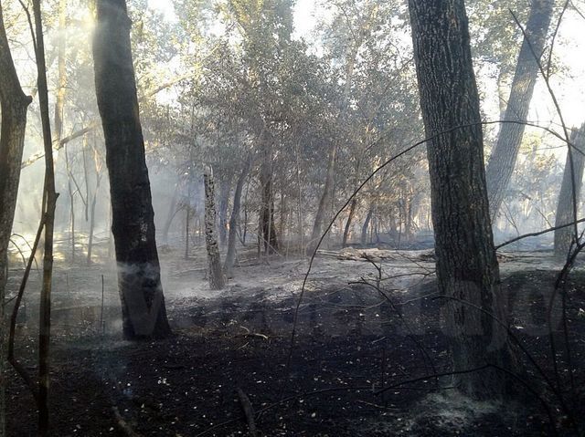 Isla de los molinos de arriba, lugar del incendio en Talavera