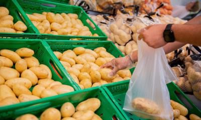 Mercadona prevé comprar 94.000 toneladas de patatas de origen nacional