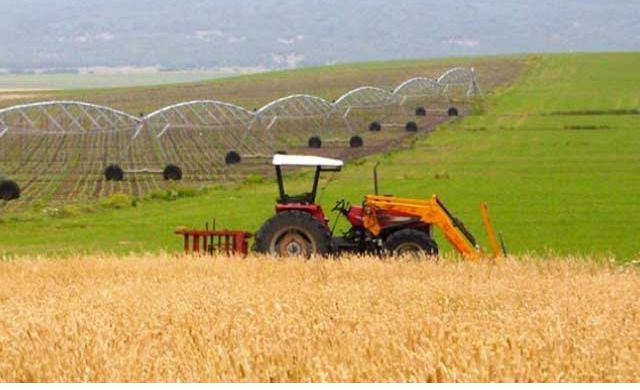 CLM abonará este viernes más de 5 millones de la PAC