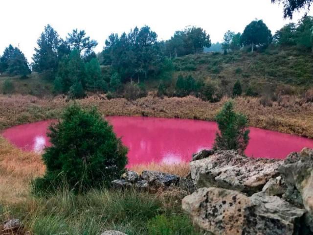 ¿Por qué esta laguna de CLM se tiñe de color rosa?