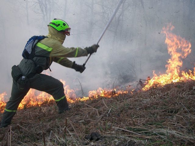 Medios de Guadalajara actúan contra el fuego en Galicia/Imagen archivo