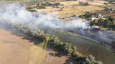 TALAVERA | Controlado un incendio forestal en la ribera del Tajo