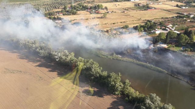 TALAVERA | Controlado un incendio forestal en la ribera del Tajo