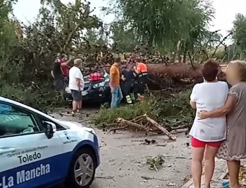 HUECAS | Heridos un hombre y un menor tras la caída de un árbol sobre su coche