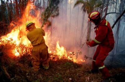 Riesgo alto de incendio forestal en Talavera y comarca