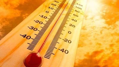 Cómo hacer frente a las altas temperaturas durante el verano