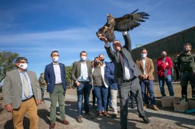 Las llamativas imágenes de Page en el CERI de Sevilleja de la Jara