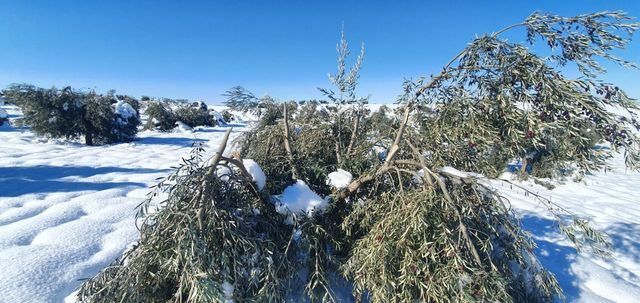 ¿FILOMENA 2? | La primavera llega con frío de hasta -10ºC, lluvia y nieve