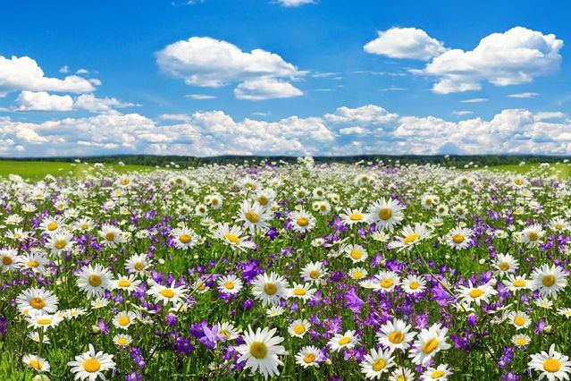 EL TIEMPO | Ya está aquí la primavera