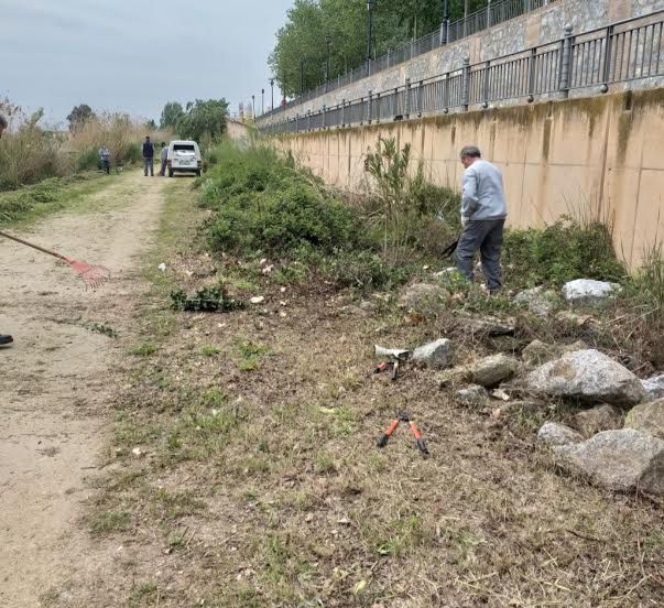 TALAVERA | Continúa la luchar contra los mosquitos