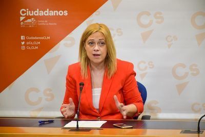 PANDEMIA | Picazo (CS) pide convocar de manera "inminente" la Comisión de Estudio COVID