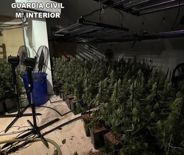 Detenidos por cultivar marihuana en una vivienda 'enganchada' a la luz