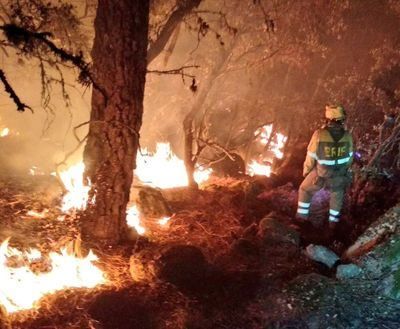 El Gobierno declarará "zonas gravemente afectadas" a todas las CCAA que hayan sufrido incendios