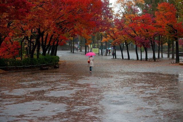 Lluvia en otoño | Foto: Pixabay