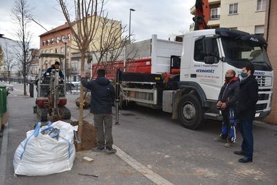 El Ayuntamiento plantará unos 300 árboles en diciembre