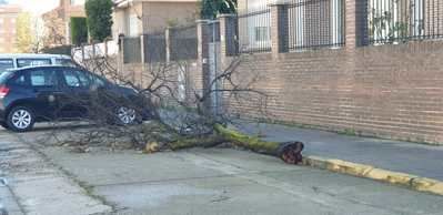 BORRASCA | El fuerte viento tiene consecuencias en Talavera