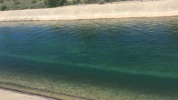 La CHT cierra los canales de riego a Aranjuez mientras que el trasvase lleva el doble de agua