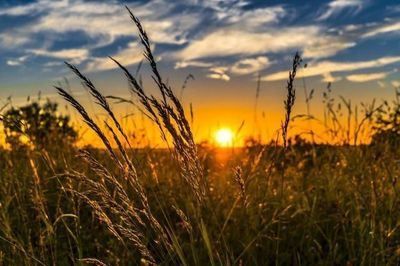 Suben las temperaturas durante el fin de semana