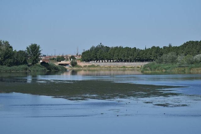 Nueva esperanza para el río Tajo