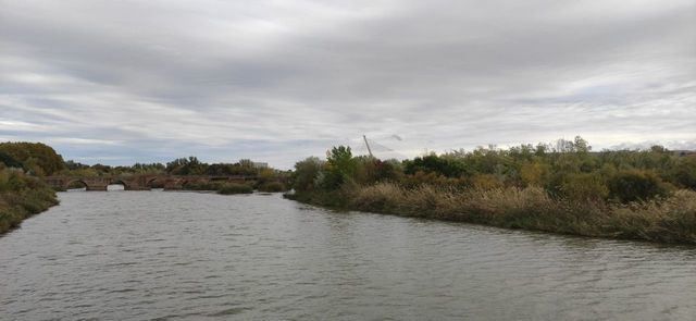 Río Tajo a su paso por Talavera | Foto: D.M.M. - La Voz del Tajo