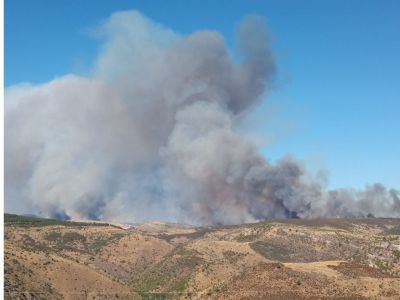 Interviene la UME: Desalojadas unas 70 personas por el incendio en Valdepeñas de la Sierra