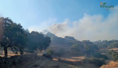 Extinguido el fuego de Castillo de Bayuela