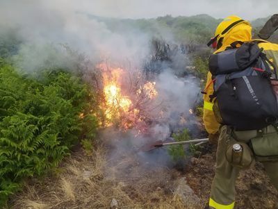 El incendio en Garganta la Olla y Aldeanueva de la Vera está estabilizado