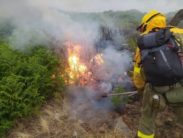 Un bombero forestal de la BRIF de Pinofranqueado en el incendio de Cabezuela del Valle. - TWITTER BRIF PINOFRANQUEADO