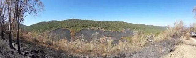 Parte de la zona quemada por el incendio en Casas de Miravete. - O. A. PARQUES NACIONALES