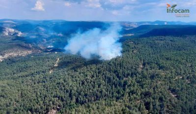 Once medios y 58 personas luchan contra el fuego en Taravilla