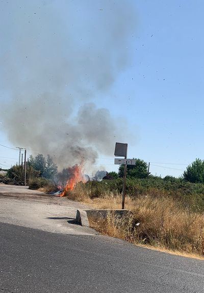 Pequeño susto en la carretera de Cervera de los Montes